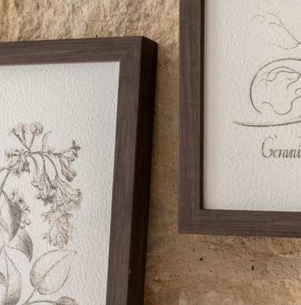 Evergreen | Set of 3 Prints