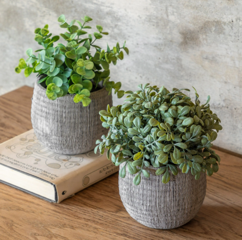 Sage Scratch Plant Pots