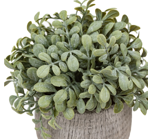 Sage Scratch Plant Pots