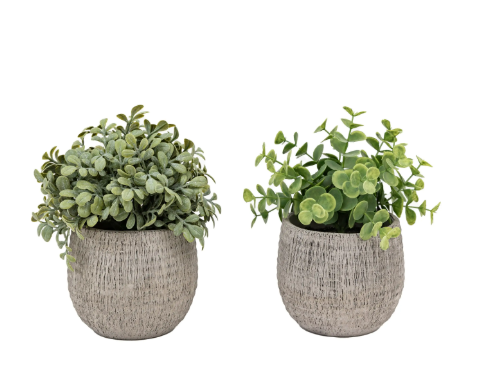 Sage Scratch Plant Pots