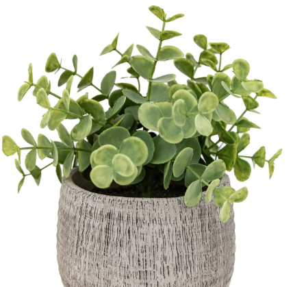 Sage Scratch Plant Pots