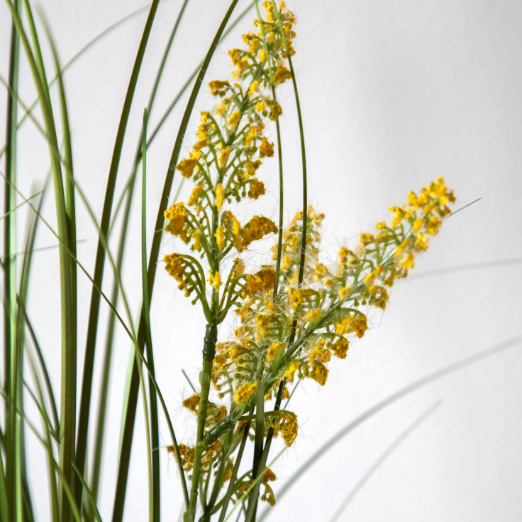 Potted Grass with Yellow Wildflower