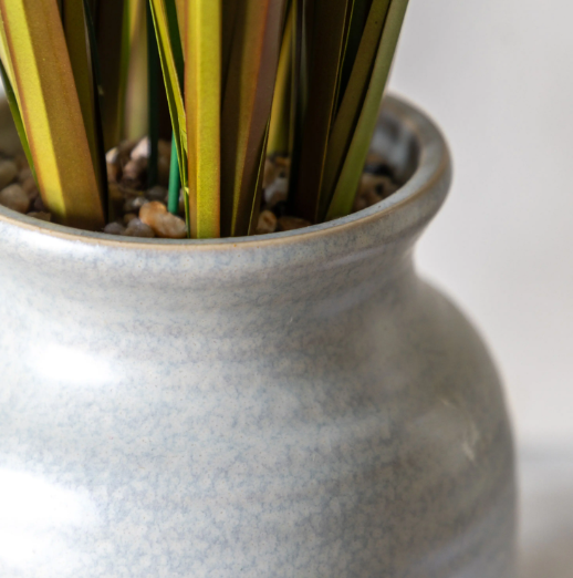 Potted Grass with Yellow Wildflower