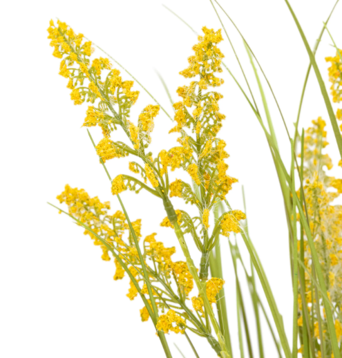 Potted Grass with Yellow Wildflower