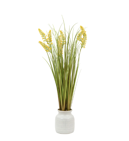 Potted Grass with Yellow Wildflower