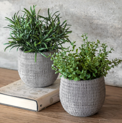 Rosemary Scratch Plant Pots