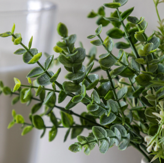 Retro Vase with Eucalyptus