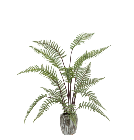 Tall Fern in Textured Grey Ceramic Pot