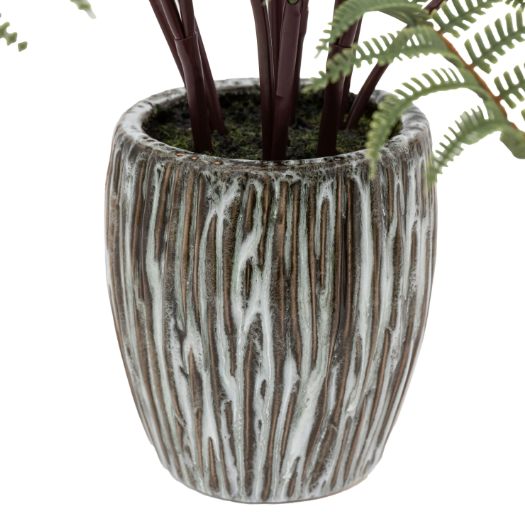 Tall Fern in Textured Grey Ceramic Pot