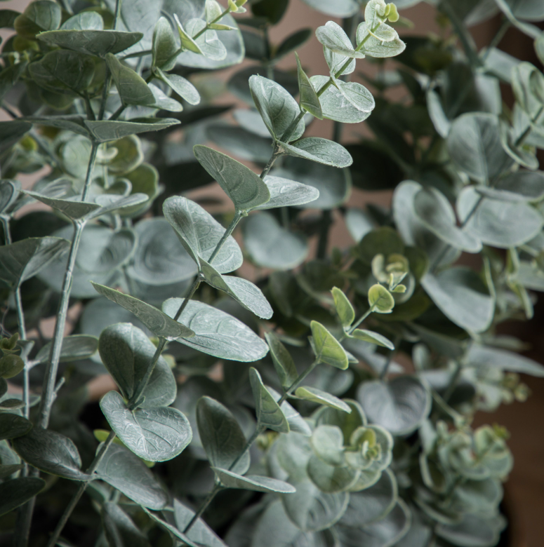 Potted Faux Eucalyptus Bush