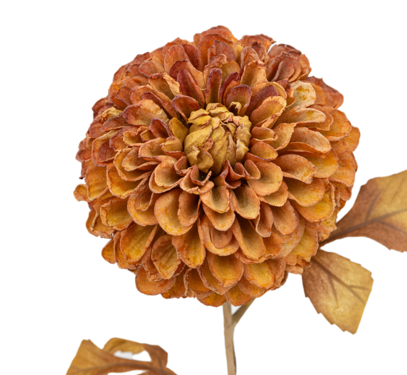 Dahlia | Burnt Orange