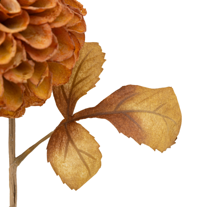 Dahlia | Burnt Orange