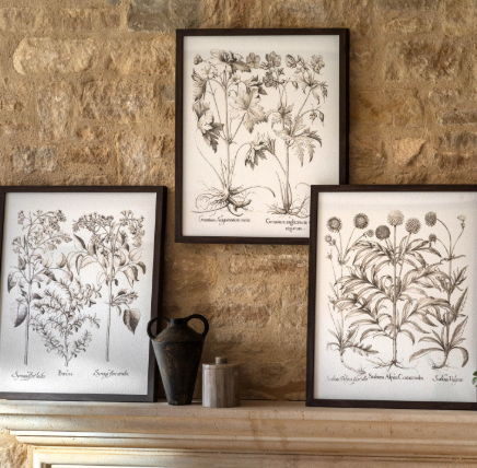 Evergreen | Set of 3 Prints