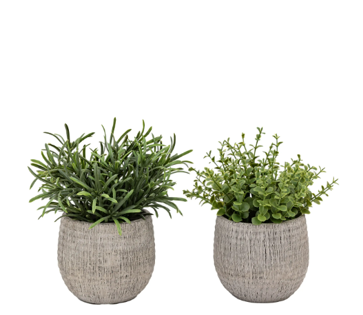 Rosemary Scratch Plant Pots