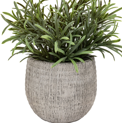 Rosemary Scratch Plant Pots