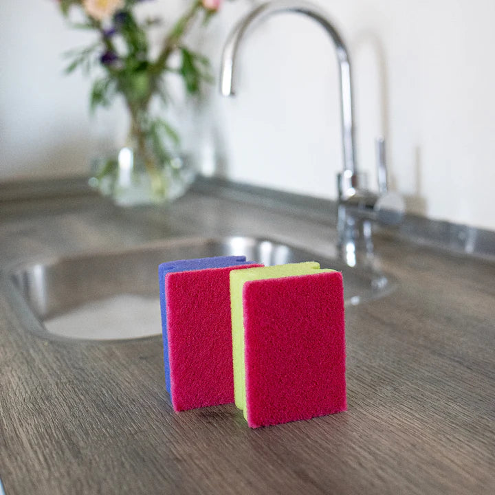 Colourful Scouring Sponges
