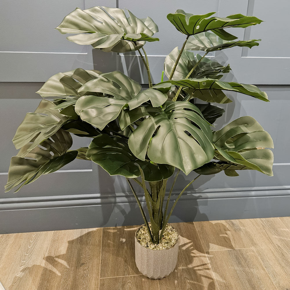 Monstera | Beige Pot *Collection Only*