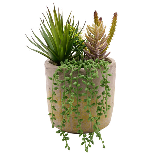 Artificial Succulent Plant in a Beige Pot
