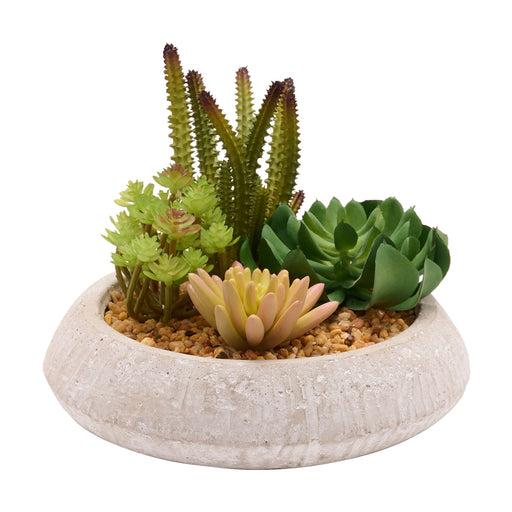 Artificial Succulent Plants in a Round Display Pot