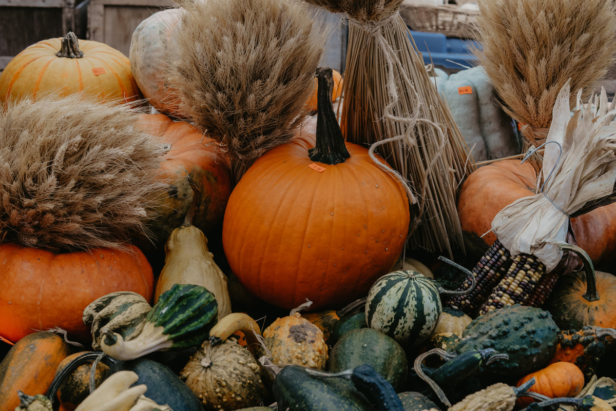 Autumn Sale