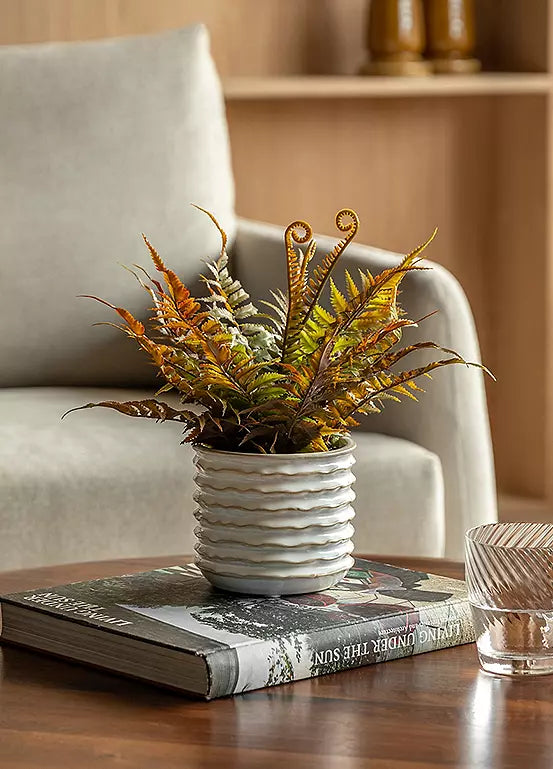 Faded Fern In Ceramic White Pot
