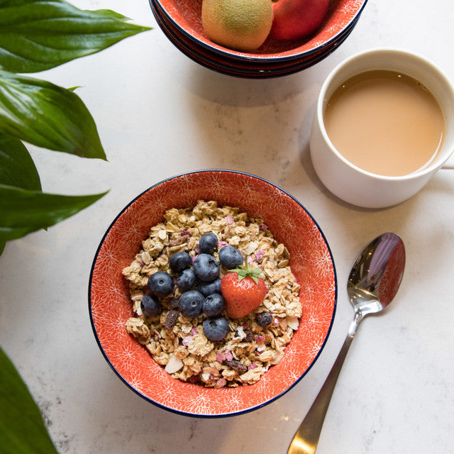 Red Floral and Blue Edge Ceramic Bowl
