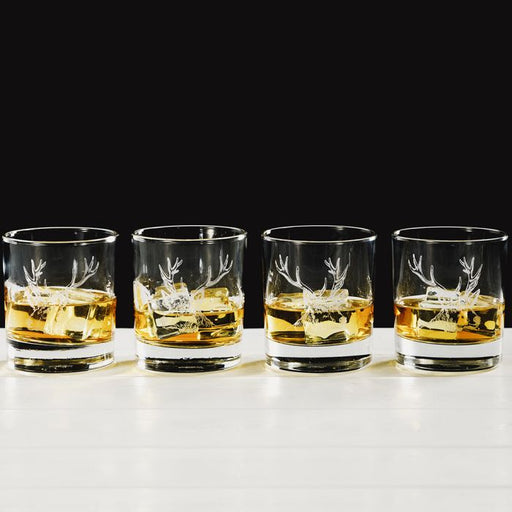 Glass Tumblers | Stag