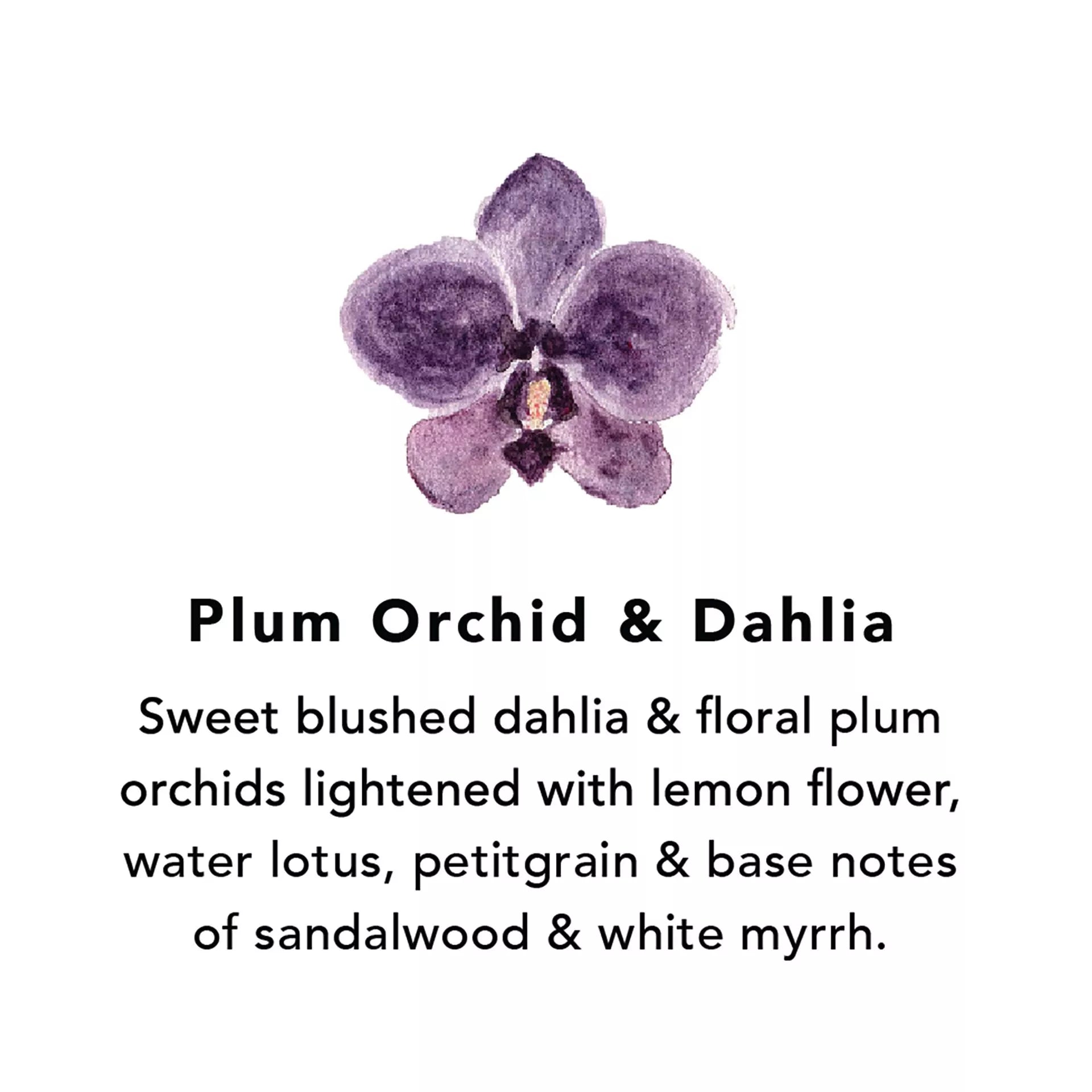 Northern Lights Wax Melts | Plum Orchid & Dahlia