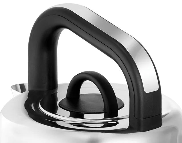 Distinctions Titanium | Kettle