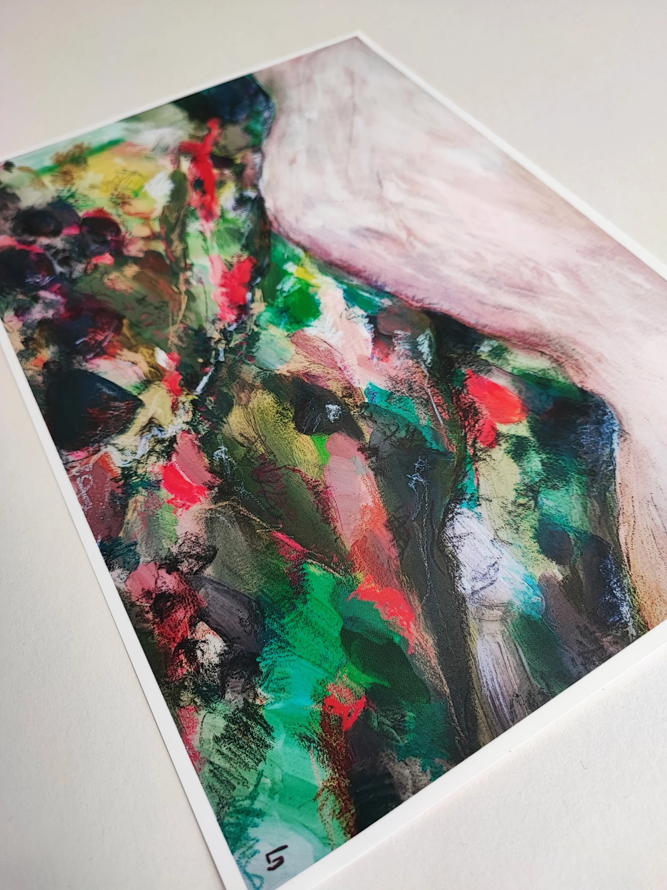 A walk in the Mournes