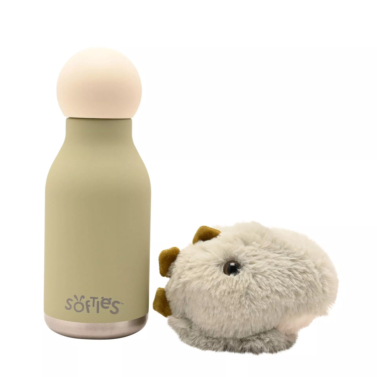 Stainless Steel Water Bottle