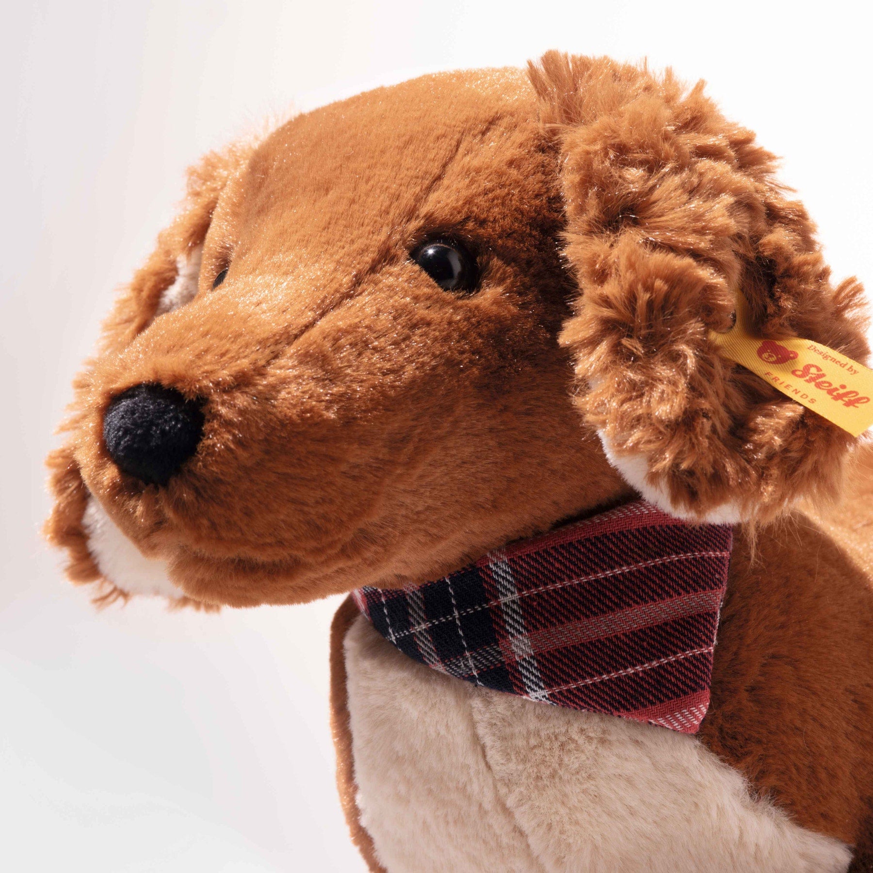 Waldi Daschund