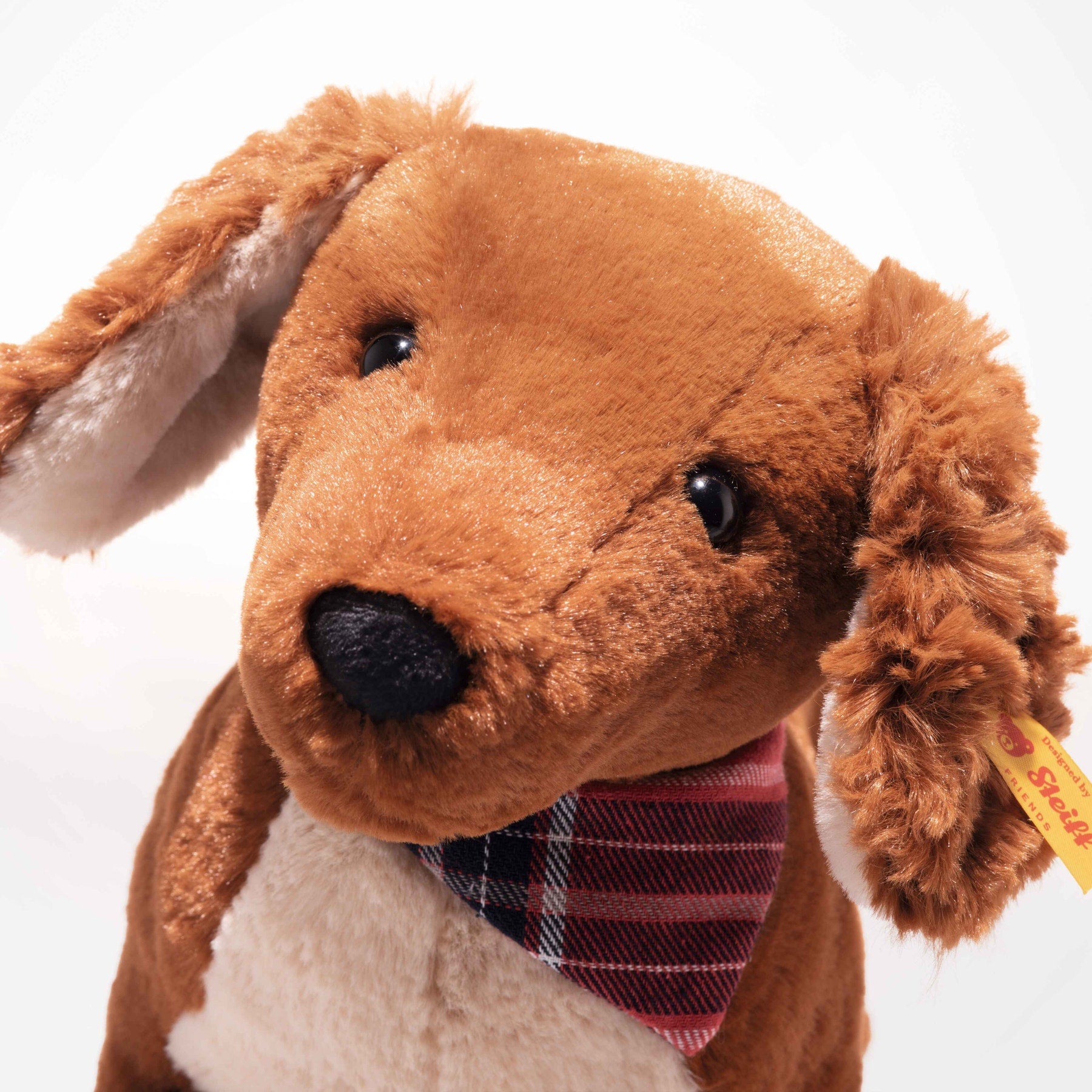 Waldi Daschund
