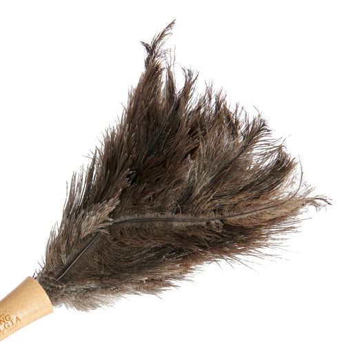 Telescopic Feather Duster