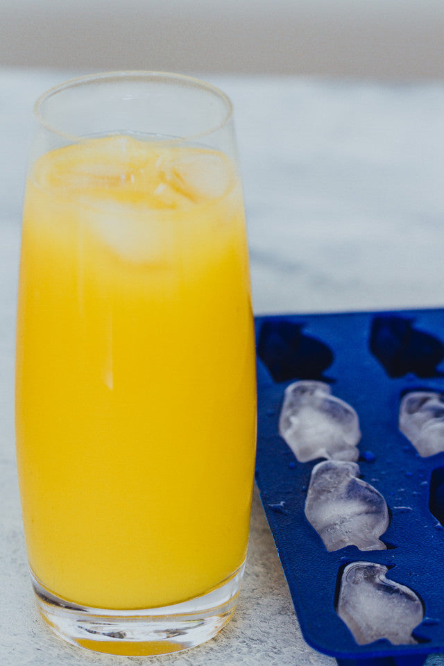 BarCraft Flexible Penguin Shape Ice Cube Tray | Blue