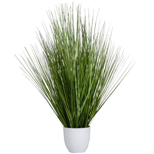 Grass in White Pot