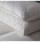 SIMPLY SLEEP 2 Pack Duck Feather Pillows