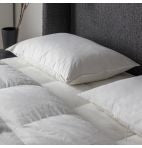 SIMPLY SLEEP Anti Allergy Pillow