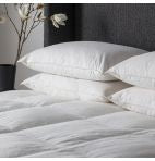 SIMPLY SLEEP Anti Allergy Pillow