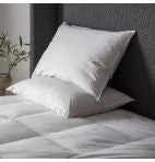 SIMPLY SLEEP 2 Pack Duck Feather Pillows